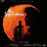 The Separation (Vichorha)