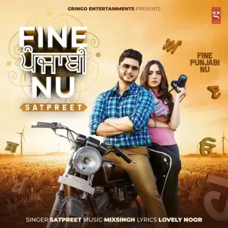 Fine Punjabi Nu Ft. MixSingh