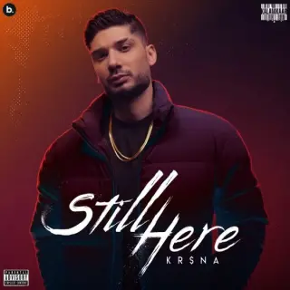 Roll Up (feat. Badshah)