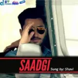 Saadgi