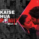 Kaise Hua Remix DJ Shadow