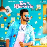 Teri Marzi Aa Ft. Silver Coin