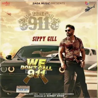 We Dont Call 911 Ft. Dj Flow