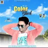 Color Black