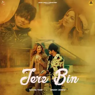 Tere Bin
