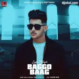 Baggo Baag