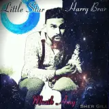 Little Star