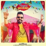 Punjabi Wedding
