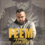 Feem
