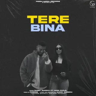 Tere Bina Ft. Miss Pooja