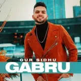 Gabru