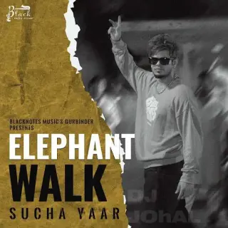 Elephant Walk
