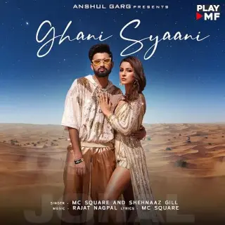 Ghani Syaani