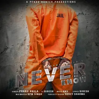 Neverknow  Ft. Biresh