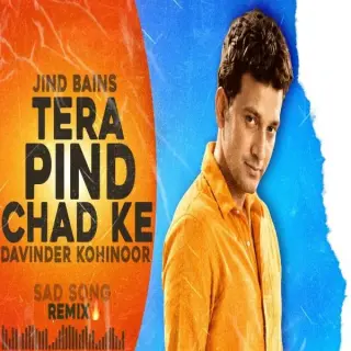 Tera Pind Chad Ke (Remix)