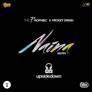 Naina (Upsidedown Remix)