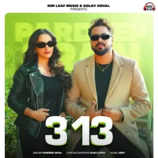 3,13