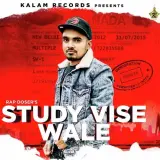 Study Vise Wale