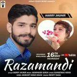 Razamandi