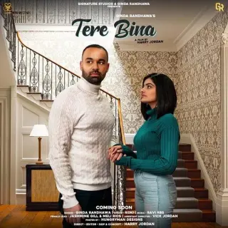 Tere Bina Ft. Ravi RBS
