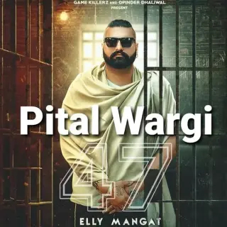 Pital Wargi Ft. Jasmeen Akhtar