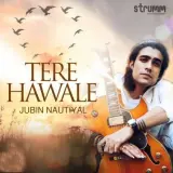 Tere Hawale