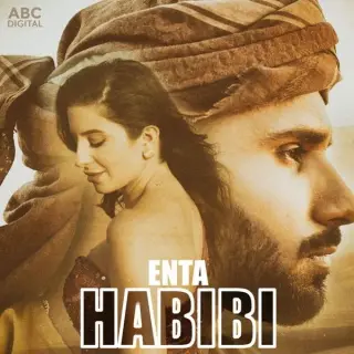 Enta Habibi Ft. Furqan Malik