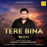 Tere Bina