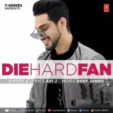 Die Hard Fan