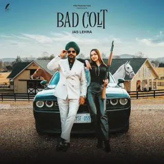 Bad Colt