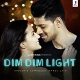 Dim Dim Light