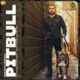 Pitbull Ft. Gurlez Akhtar
