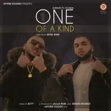 One Of A Kind