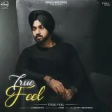 True Feel