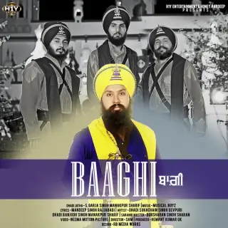 Baaghi