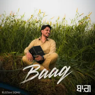 Baag