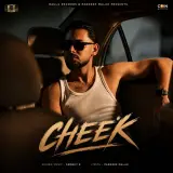 Cheek