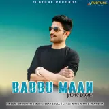 Babbu Maan Piche Pagal