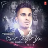 Cant Forget You (Tujhe Bhula Diya)