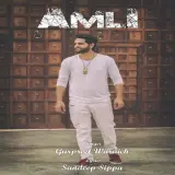 Amli