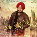Sohni Pagg Wala