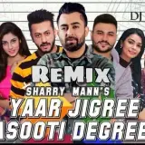 Yaar Jigree Kasooti Degree Remix