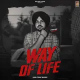 Way Of Life