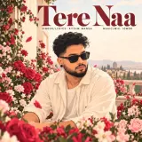 Tere Naa