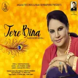 Tere Bina