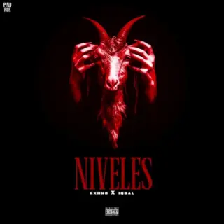 NIVELES