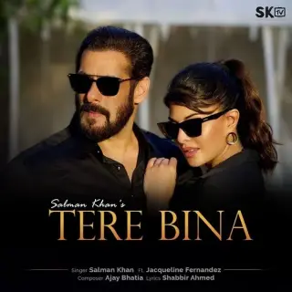 Tere Bina