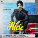 Hide