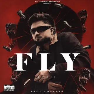 Fly