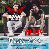 Billi Akh Remix